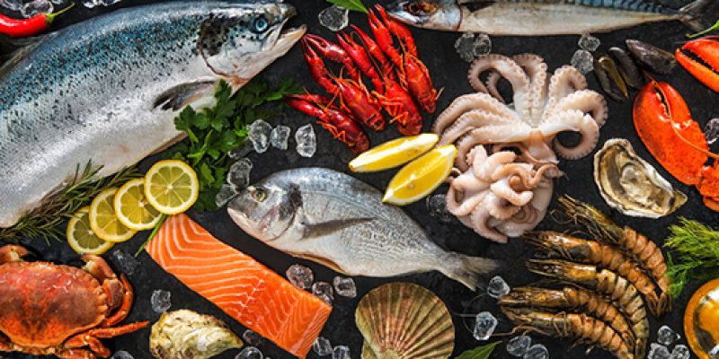 Raw Material Knowledge 食材知识 (CORE_05)