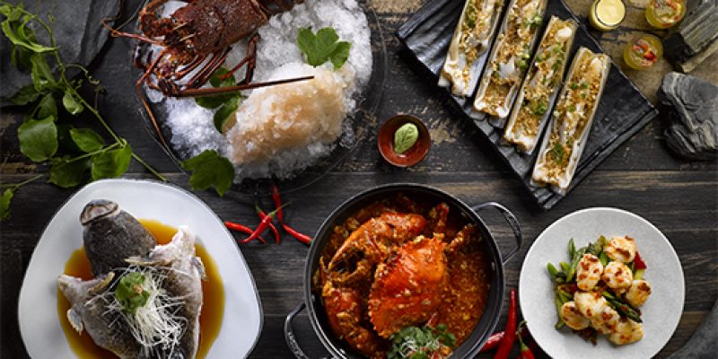 Menu Knowledge 菜单知识 (KOFS_04)