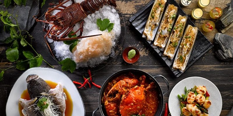 Menu Knowledge 菜单知识 (ROFS_04)